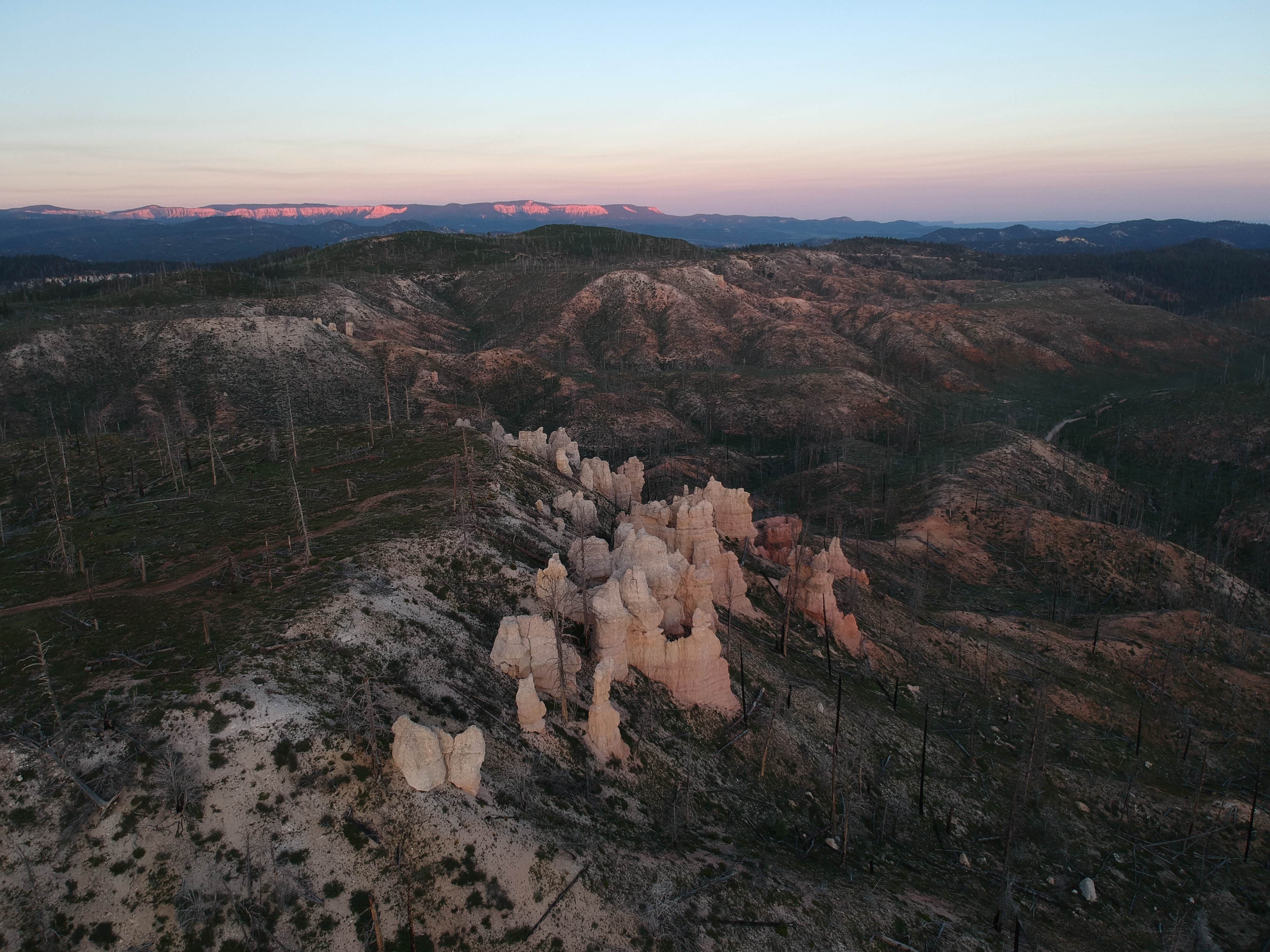 Camper submitted image from Harris Rim & Stout Canyon Dispersed - 2