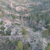 Review photo of Harris Rim & Stout Canyon Dispersed by Bobby L., June 24, 2023
