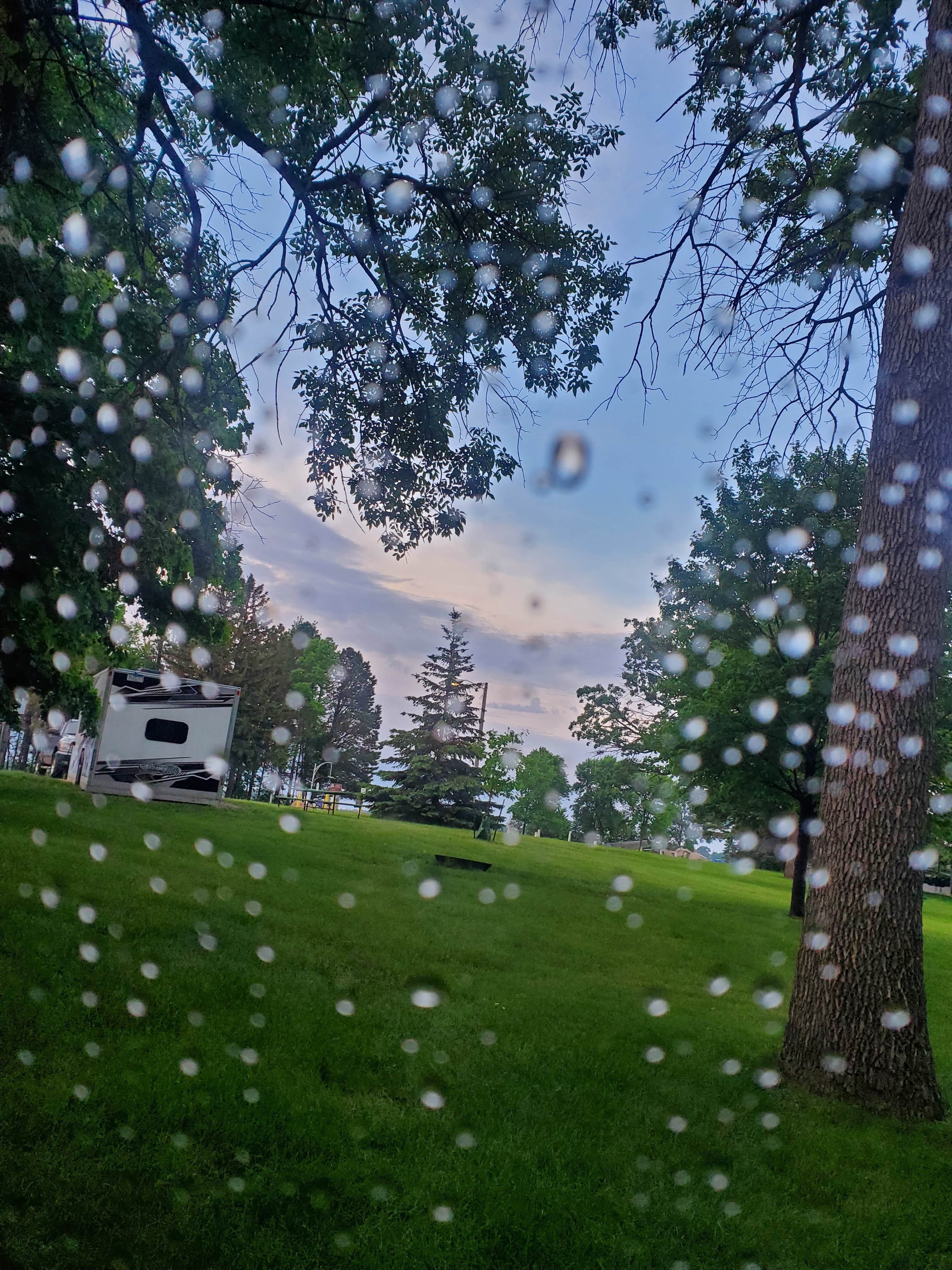 Camper-submitted photo at Oak Leaf Park near Dassel, MN