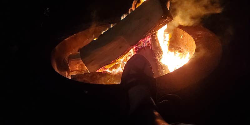 Camper submitted image from Oak Leaf Park