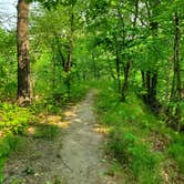 Review photo of High Island Creek Park by Angie B., June 24, 2023