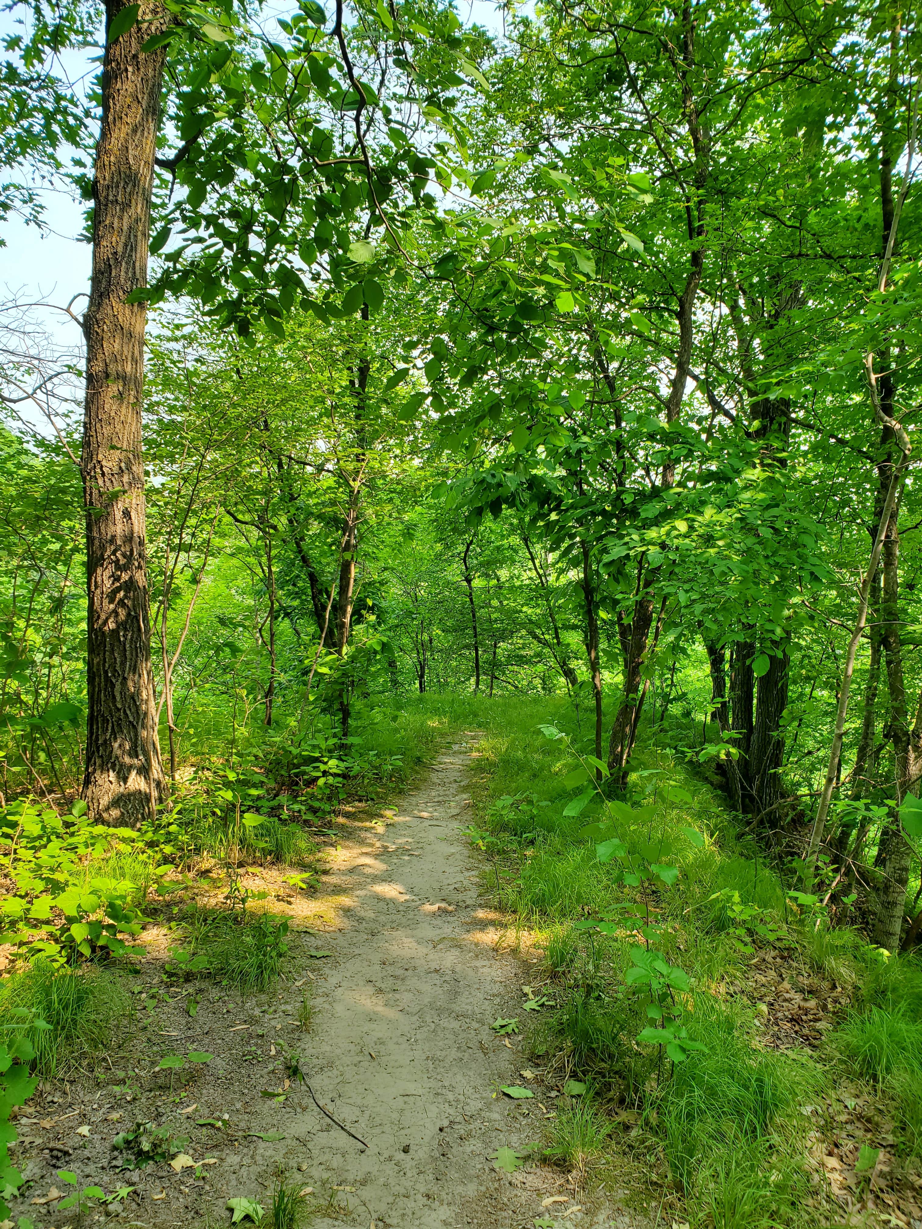 Camper submitted image from High Island Creek Park - 3