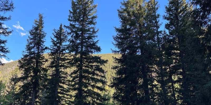 Camper submitted image from East Portal Distributed Camping Area