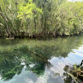 Review photo of Manatee Springs State Park Campground by Mica H., June 24, 2023