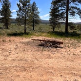 Review photo of Tom Best Spring Road FR117 Dispersed - Dixie National Forest by Donna L., June 24, 2023