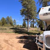 Review photo of Tom Best Spring Road FR117 Dispersed - Dixie National Forest by Donna L., June 24, 2023