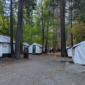 Review photo of Curry Village — Yosemite National Park by Elliott B., October 18, 2018