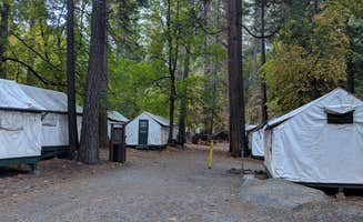 Elliott B.'s photo at Curry Village — Yosemite National Park near Yosemite Valley, CA
