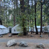 Review photo of Curry Village — Yosemite National Park by Elliott B., October 18, 2018