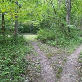 Review photo of Shades State Park Campground by Hannah , June 23, 2023