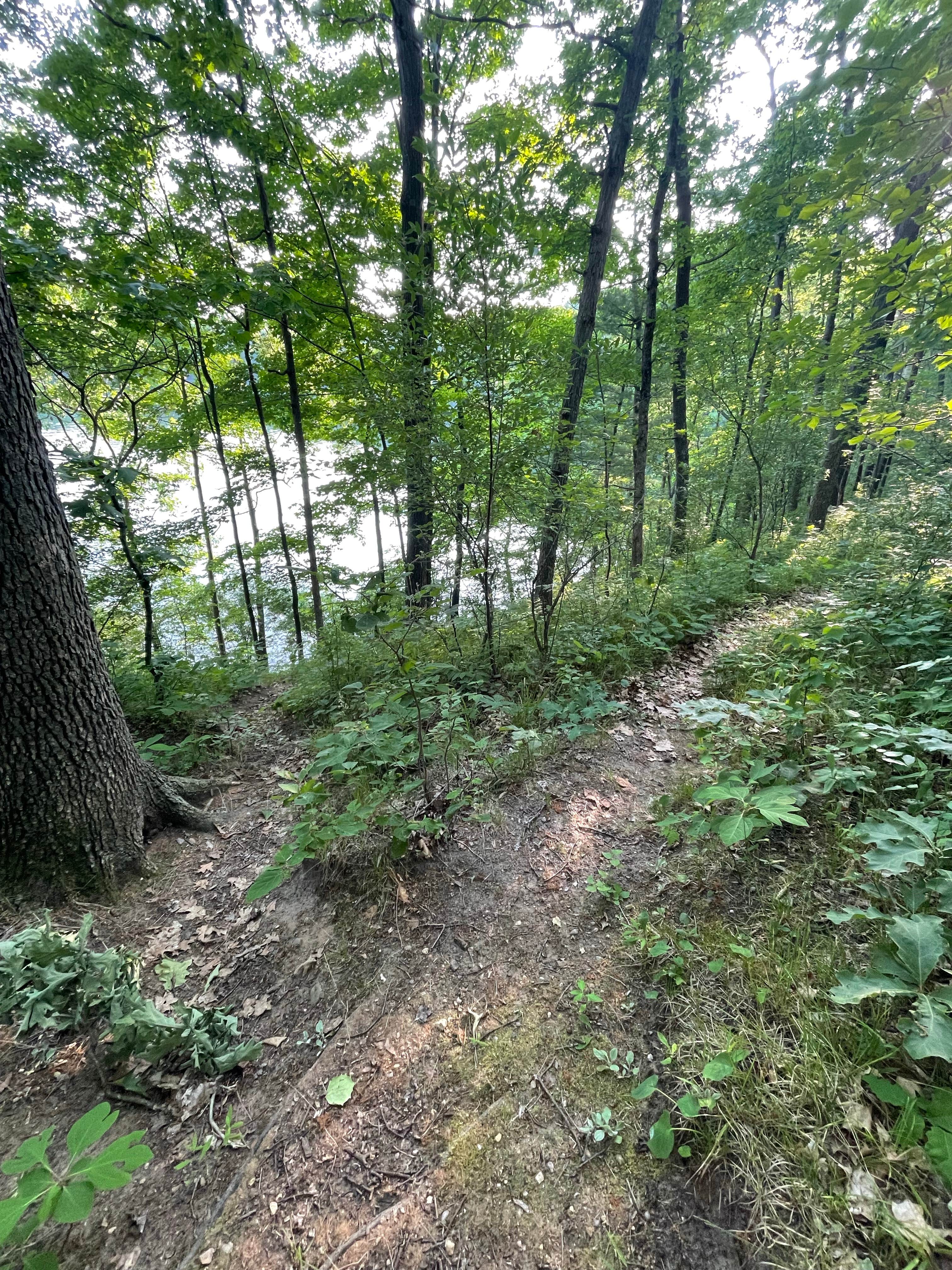 Camper submitted image from Tippy Dam State Recreation Area - 2