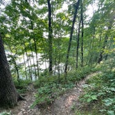 Review photo of Tippy Dam State Recreation Area by Tracy W., June 24, 2023