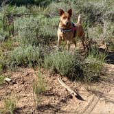 Review photo of Tom Best Spring Road FR117 Dispersed - Dixie National Forest by Donna L., June 24, 2023