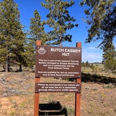 Review photo of Tom Best Spring Road FR117 Dispersed - Dixie National Forest by Donna L., June 24, 2023