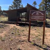 Review photo of Tom Best Spring Road FR117 Dispersed - Dixie National Forest by Donna L., June 24, 2023