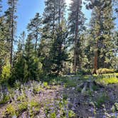 Review photo of Reverend's Ridge Campground — Golden Gate Canyon by Jennifer O., June 25, 2023