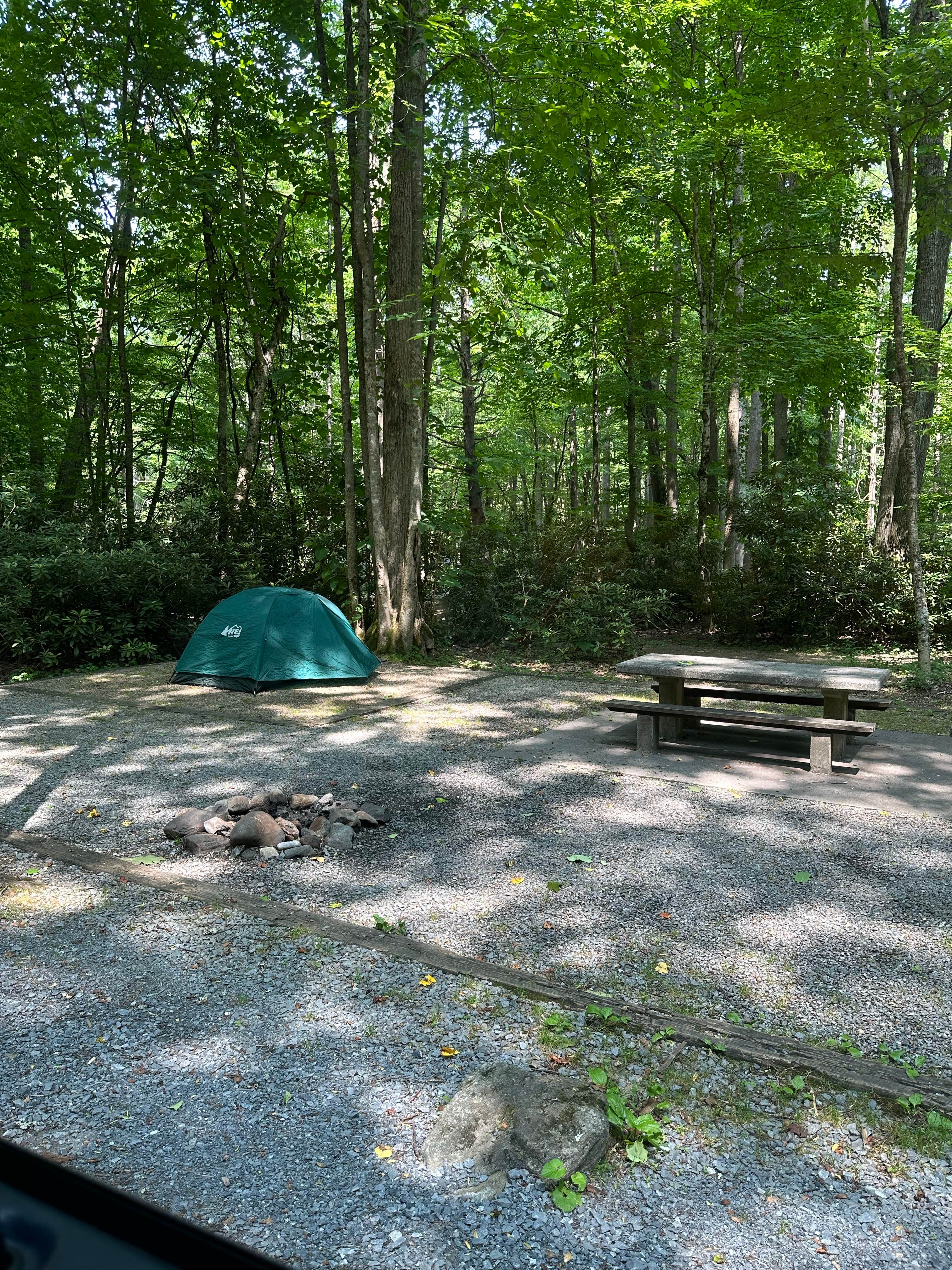 Alex N.'s photo at Roan Mountain State Park Campground near Bakersville, NC