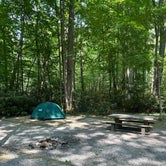 Review photo of Roan Mountain State Park Campground by Alex N., June 25, 2023