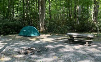 Alex N.'s photo at Roan Mountain State Park Campground near Bakersville, NC