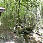 Review photo of Abol Campground — Baxter State Park by Amanda H., June 25, 2023