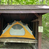 Review photo of Abol Campground — Aroostook State Park by Amanda H., June 25, 2023
