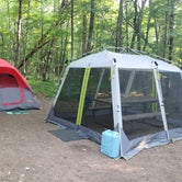 Review photo of Wild River State Park Campground by Ashley H., June 25, 2023