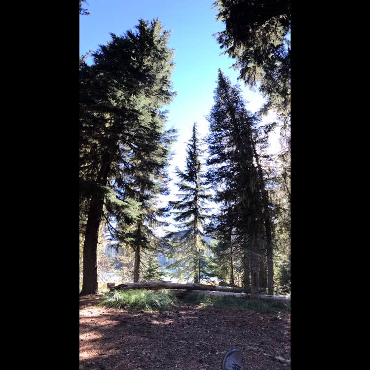 Camper-submitted photo at Scott Lake Campground near Deschutes National Forest