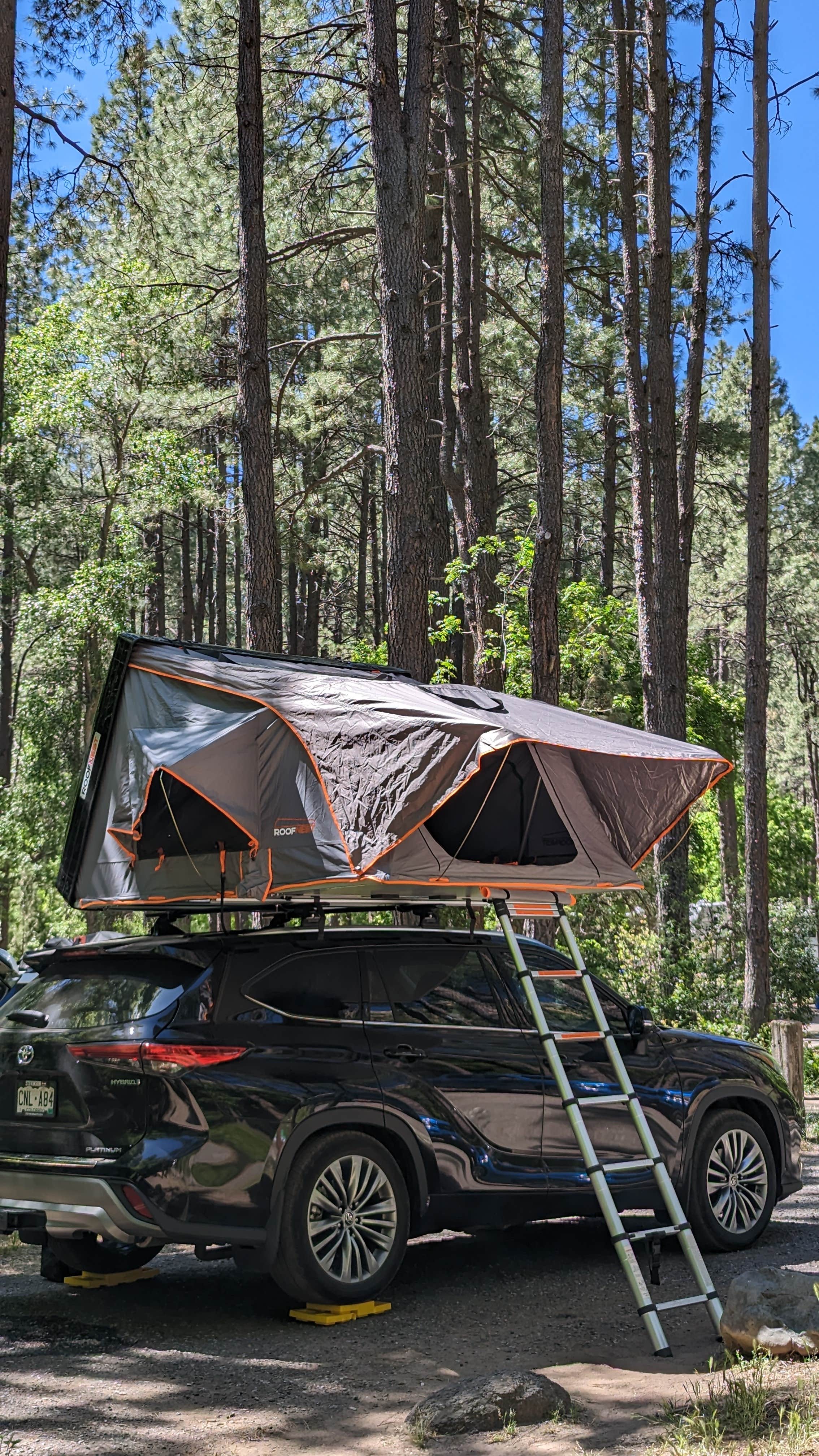 Devin H.'s photo at Cave Springs near Munds Park, AZ