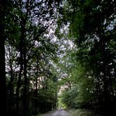 Review photo of Cathedral Caverns State Park Campground by Lorilee S., June 25, 2023