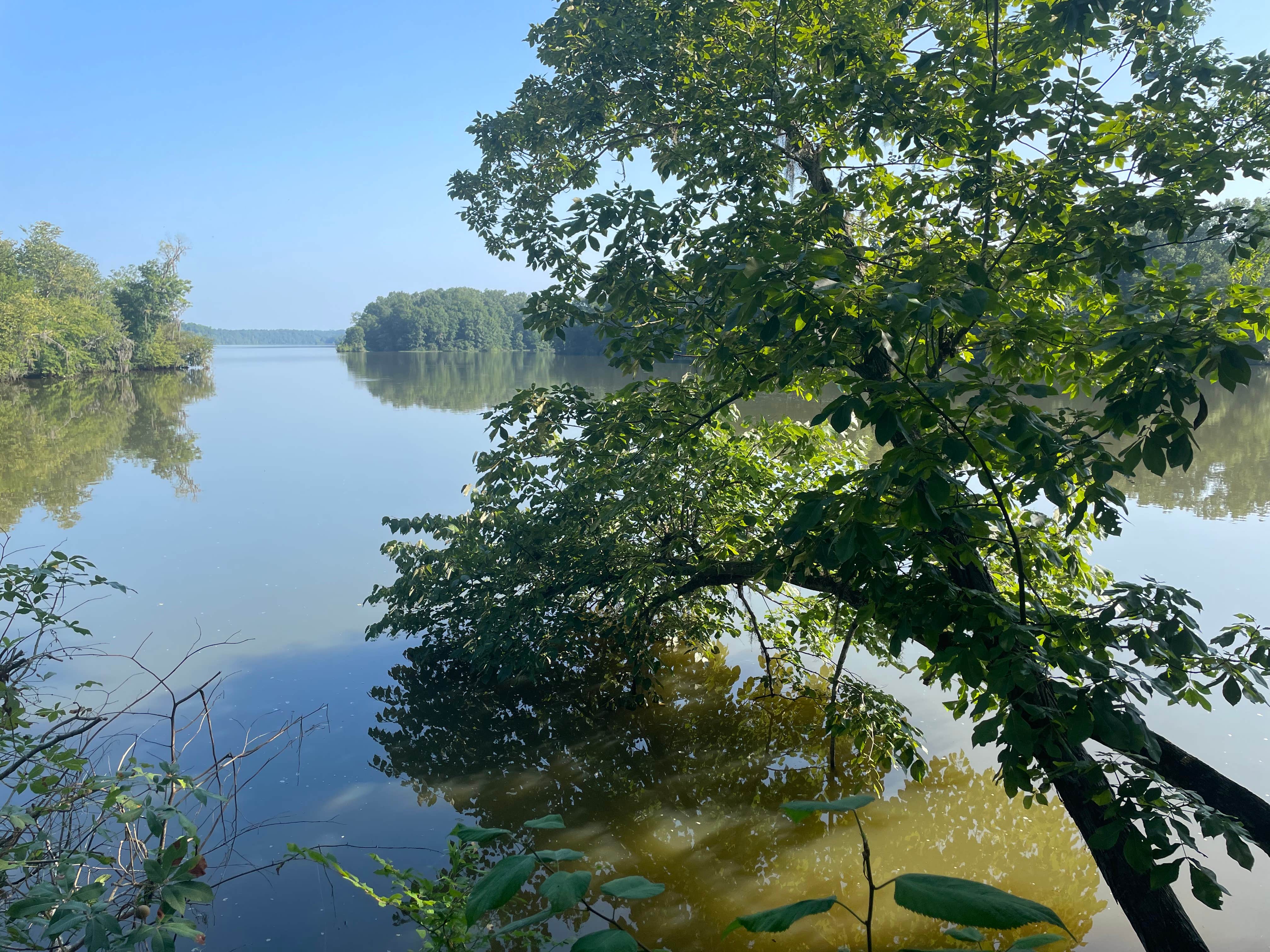 Camper-submitted photo at Prairie Creek Campground near Marion Junction, AL
