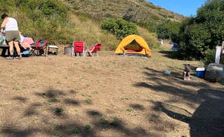 Andrea P.'s photo of camping with pets at Canyon Campground — Leo Carrillo State Park Campground near Los Angeles, CA