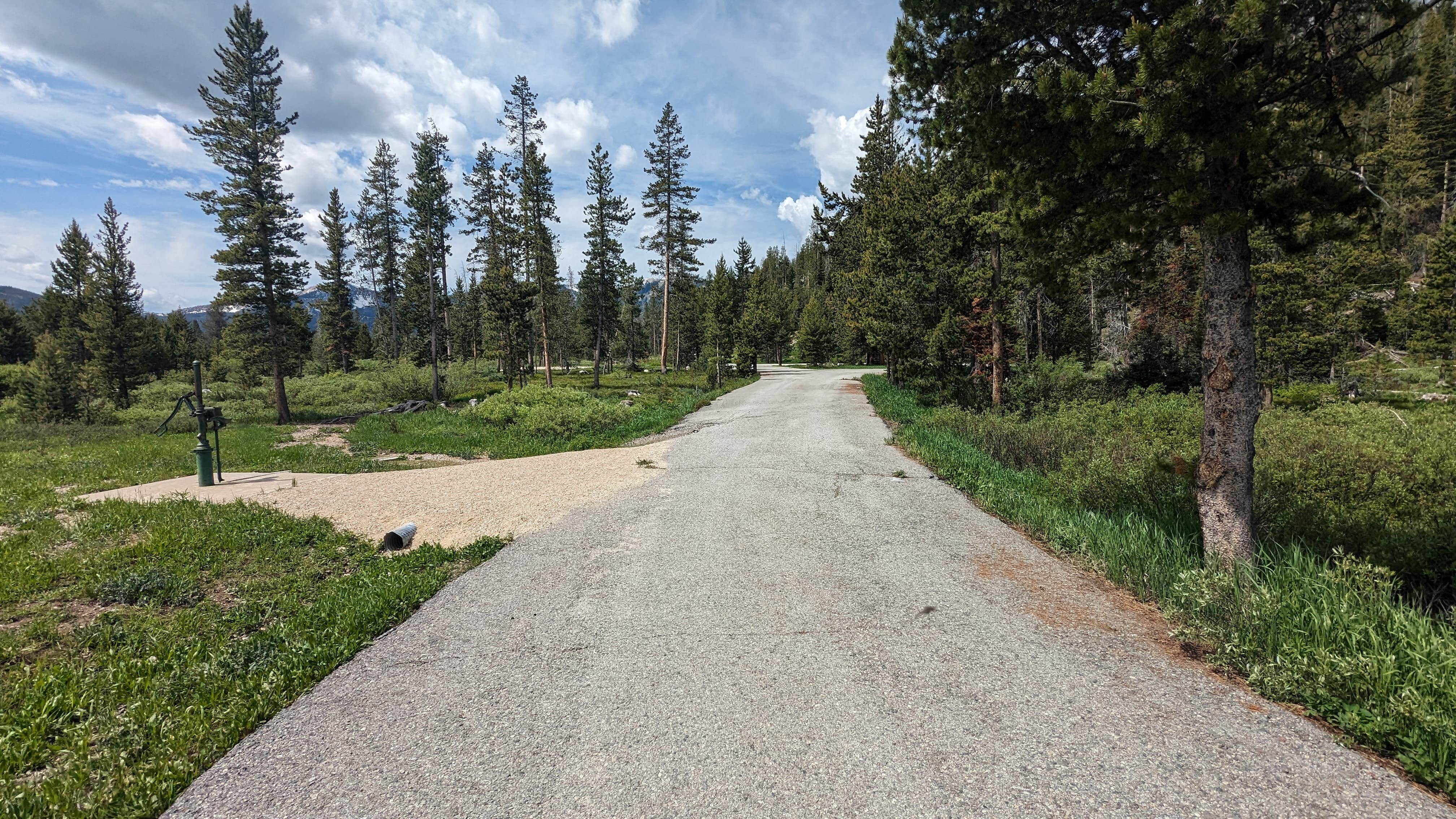 Camper-submitted photo at Thatcher Creek Campground near Stanley, ID