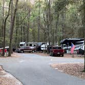 Review photo of Suwannee River State Park Campground by Napunani , June 25, 2023