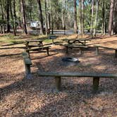 Review photo of Suwannee River State Park Campground by Napunani , June 25, 2023