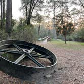 Review photo of Suwannee River State Park Campground by Napunani , June 25, 2023