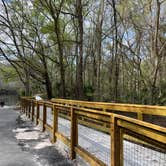 Review photo of Suwannee River State Park Campground by Napunani , June 25, 2023