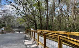 Napunani's photo of camping with pets at Suwannee River State Park Campground near Valdosta, GA