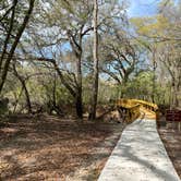 Review photo of Suwannee River State Park Campground by Napunani , June 25, 2023