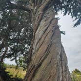 Review photo of San Simeon Creek Campground — Hearst San Simeon State Park by Mike E., June 25, 2023