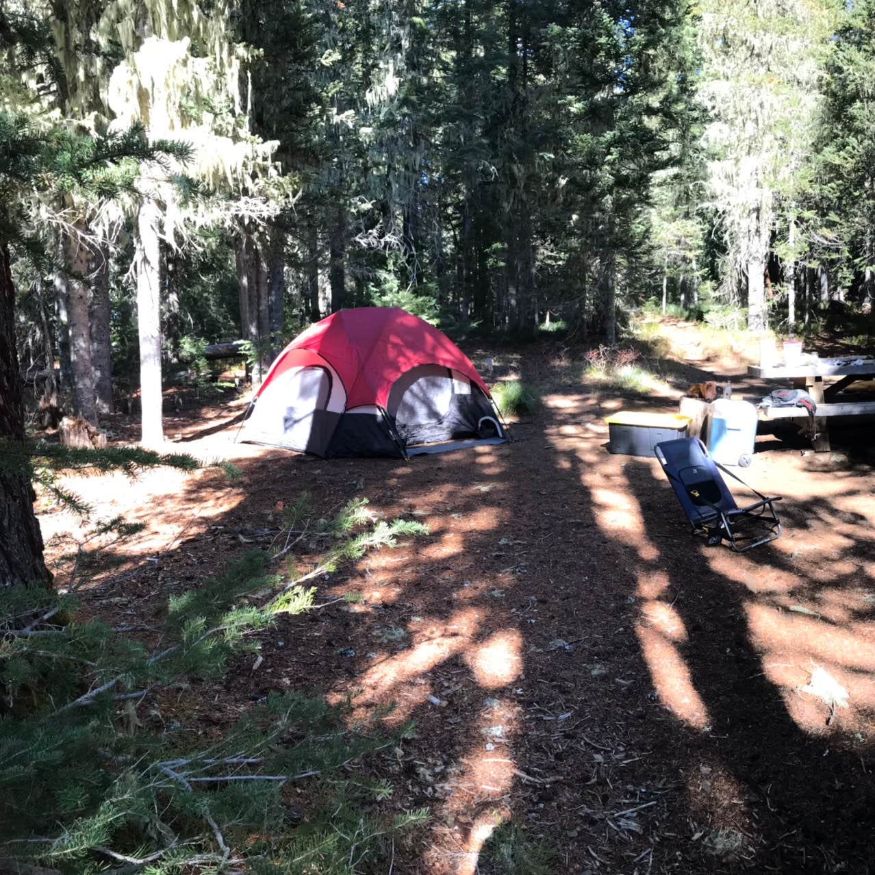 Scott Lake Campground Camping | The Dyrt