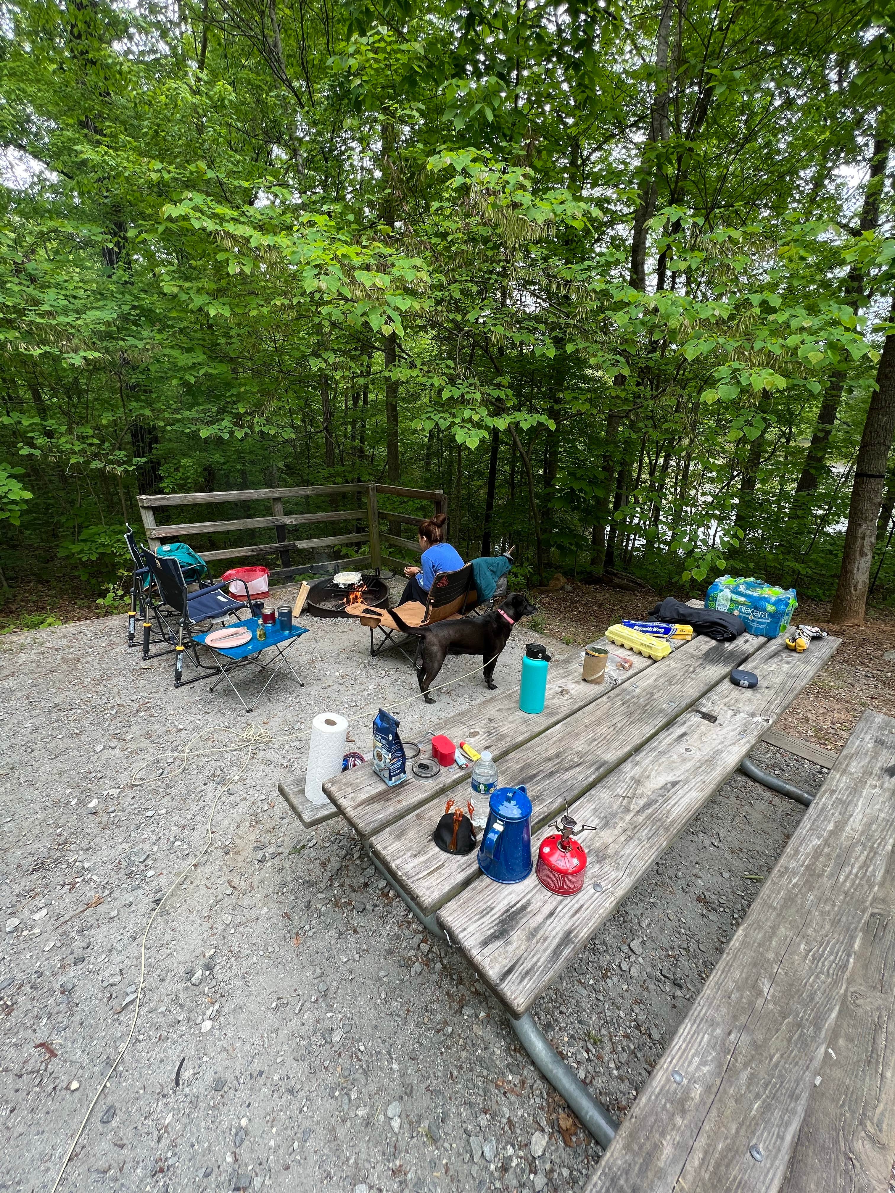Jason H.'s photo of camping with pets at Indian Springs State Park Campground near Lovejoy, GA