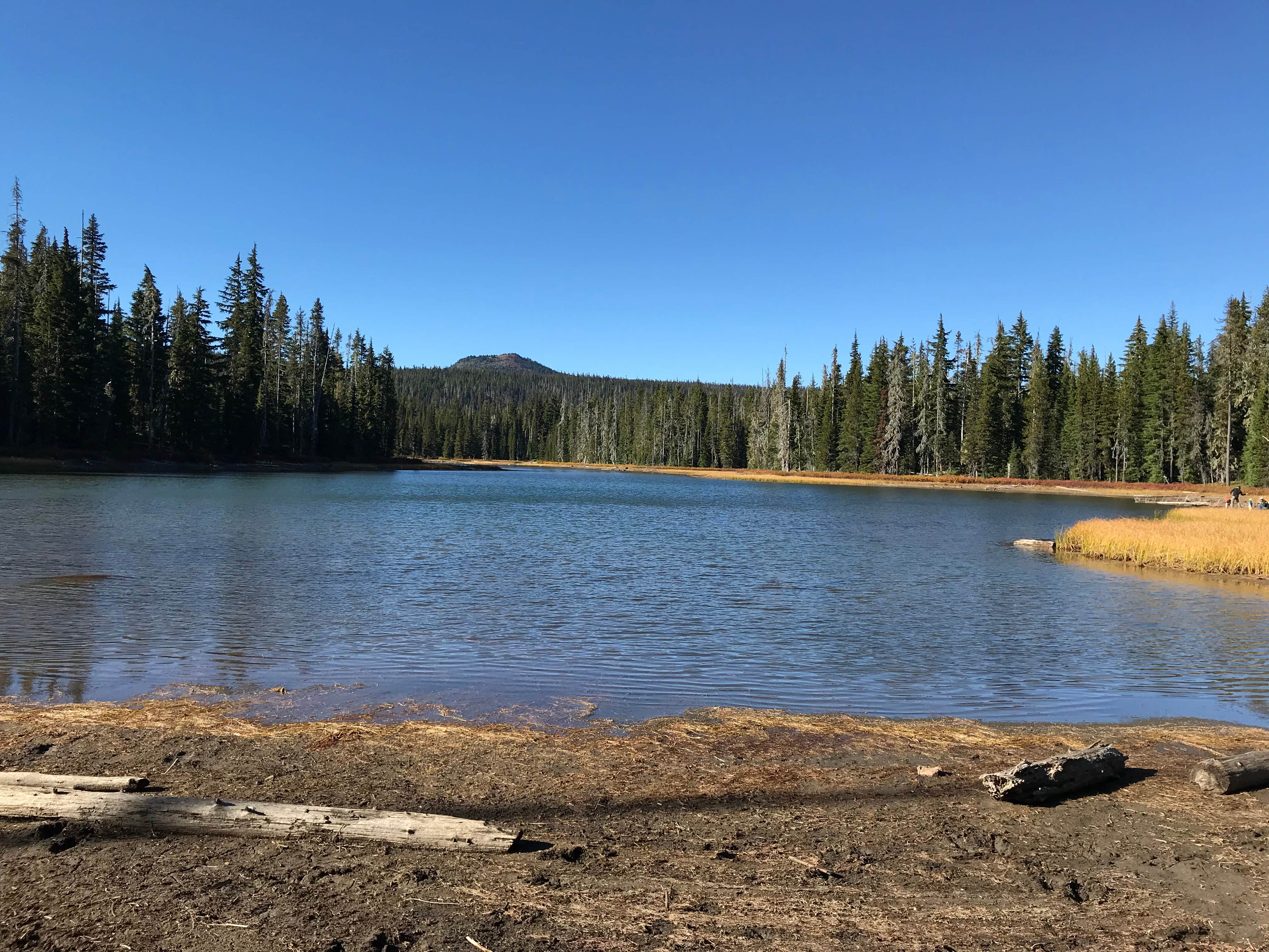 Camper-submitted photo at Scott Lake Campground near Deschutes National Forest