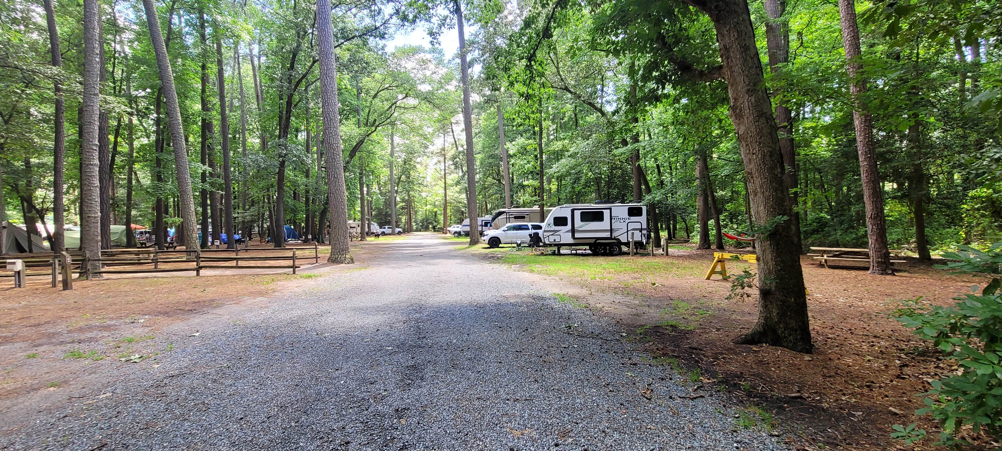 Greg S.'s photo at Trap Pond State Park Campground near Millville, DE