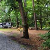 Review photo of Trap Pond State Park Campground by Greg S., June 26, 2023