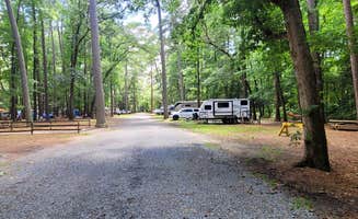 Greg S.'s photo at Trap Pond State Park Campground near Millville, DE