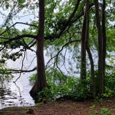 Review photo of Trap Pond State Park Campground by Greg S., June 26, 2023