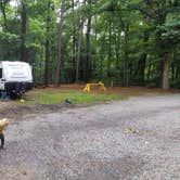 Review photo of Trap Pond State Park Campground by Greg S., June 26, 2023