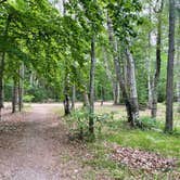 Review photo of Pickerel Lake (Kalkaska) State Forest Campground by Nicole V., June 26, 2023