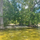Review photo of Lake Waccamaw State Park Campground by Sara H., June 26, 2023