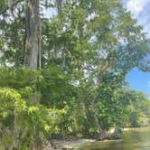 Review photo of Lake Waccamaw State Park Campground by Sara H., June 26, 2023